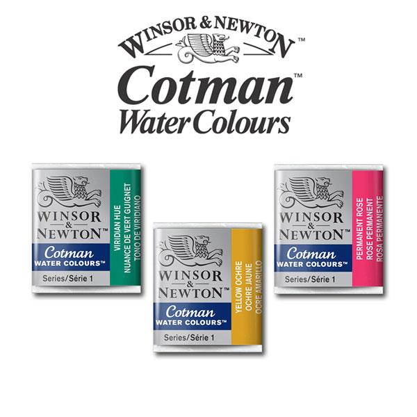 Màu Winsor Newton Cotman Dạng Thẻ Half Pan 