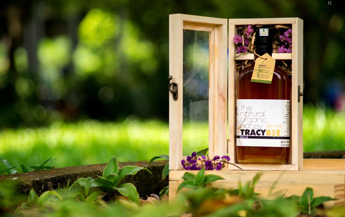 Mật ong Tracy Bee 600ml 1 chai đựng trong hộp gỗ thông sang trọng