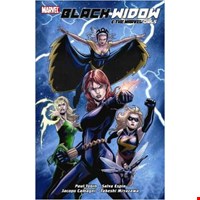 Black Widow The Marvel Girls