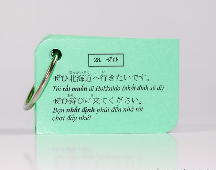 Bộ KatchUp Flashcard Tiếng Nhật Ngữ Pháp Sơ Cấp N5,4 (Minna no Nihongo) - High Quality - ảnh 4