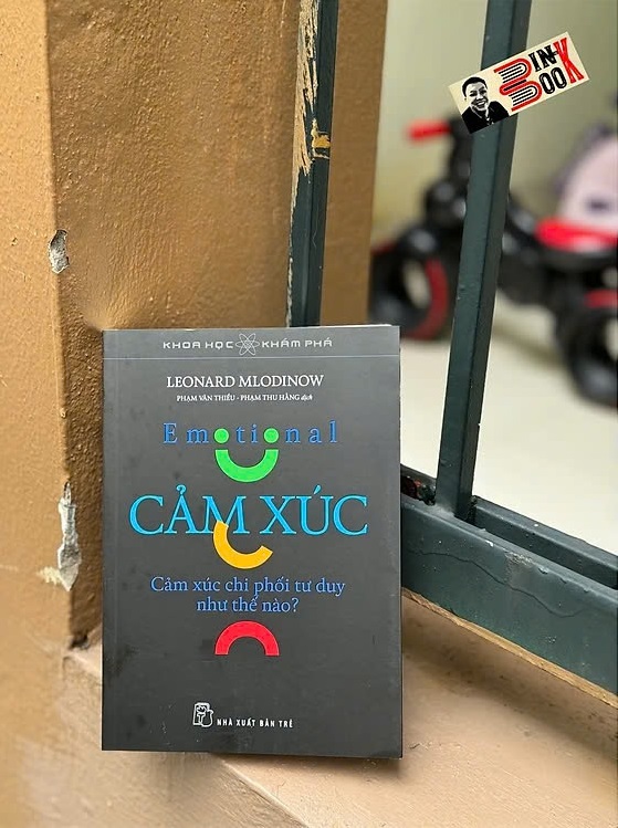 Cảm Xúc - Cảm Xúc Chi Phối Tư Duy Như Thế Nào - ảnh 3