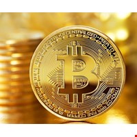 Đồng Bitcoin Mạ Vàng 24K