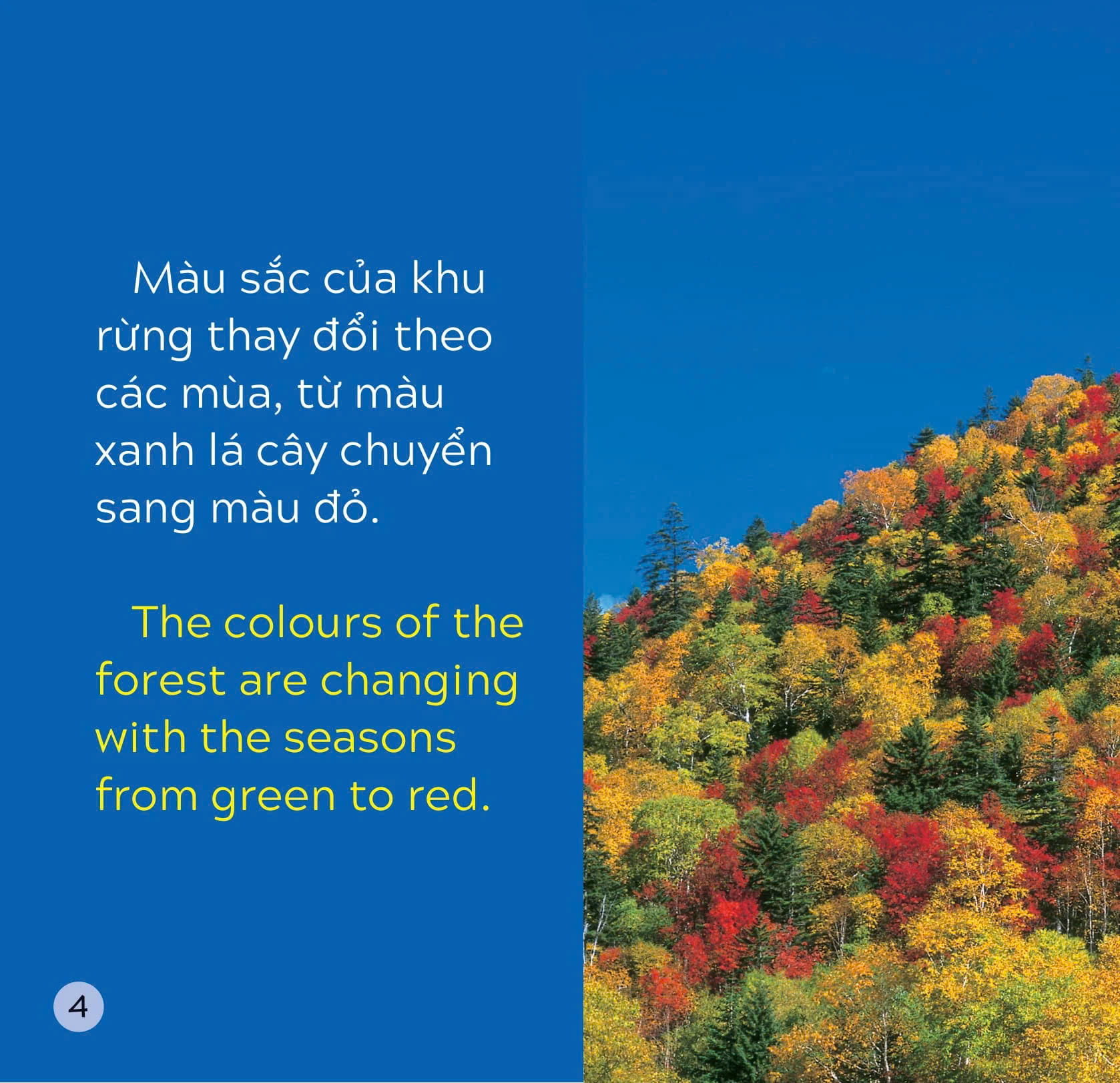 Song Ngữ Việt Anh - Khám Phá Thế Giới - Các Màu Sắc Trên Trái Đất - Colours On Earth - ảnh 4